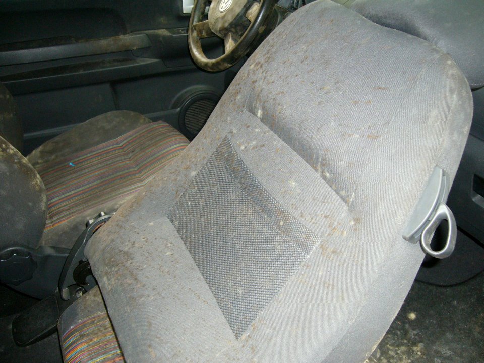 ecolimpauto_limpieza_tapiceria_0015